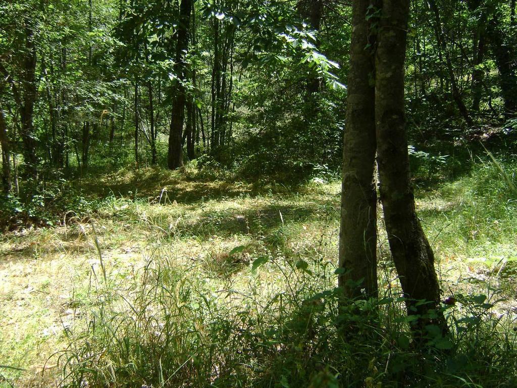 Camping Le P'Tit Bonheur Escaro Екстер'єр фото